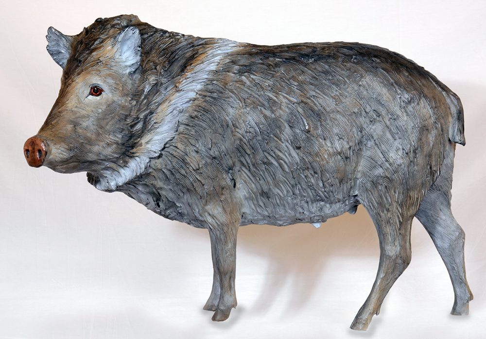 Diana Simpson June Bug Exposures International