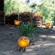 Pig (Lamp) | Borowski | Sculpture-Exposures International Gallery of Fine Art - Sedona AZ