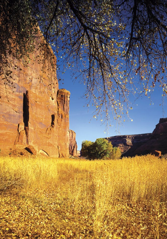 Canyon De Chelly - CC0212 | Tom Johnson | Photography-Exposures International Gallery of Fine Art - Sedona AZ