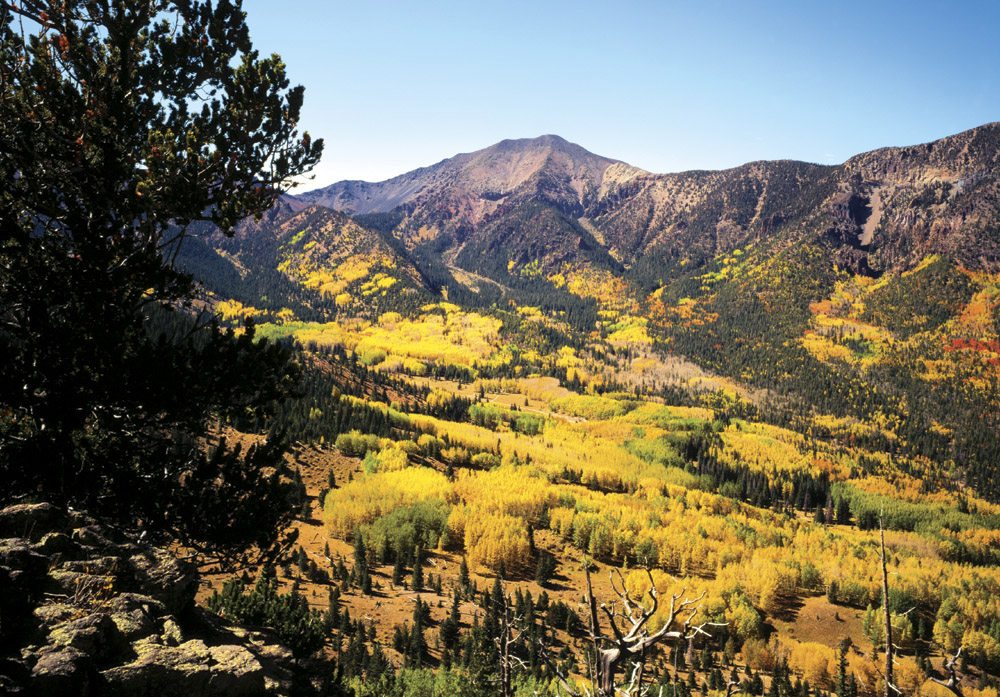 Inner Basin - FL0201 | Tom Johnson | Photography-Exposures International Gallery of Fine Art - Sedona AZ