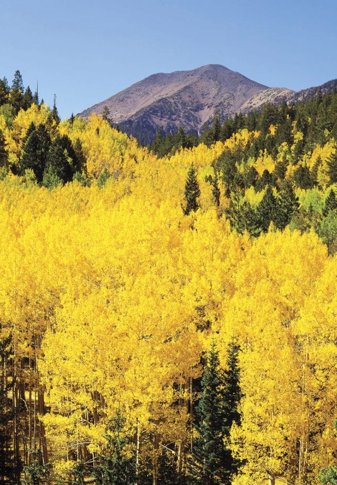 Mount Humphreys - FL0205 | Tom Johnson | Photography-Exposures International Gallery of Fine Art - Sedona AZ