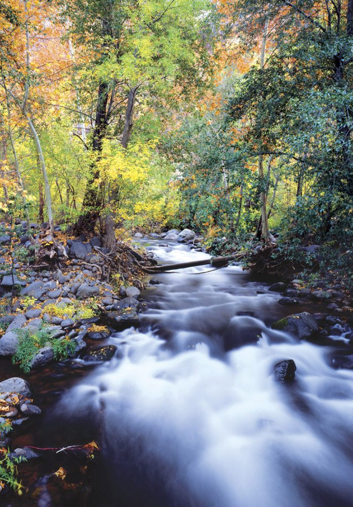 Oak Creek - SD0409 | Tom Johnson | Photography-Exposures International Gallery of Fine Art - Sedona AZ