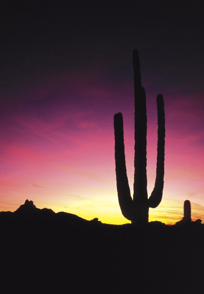 Pinnacle Peak - SC0103 | Tom Johnson | Photography-Exposures International Gallery of Fine Art - Sedona AZ
