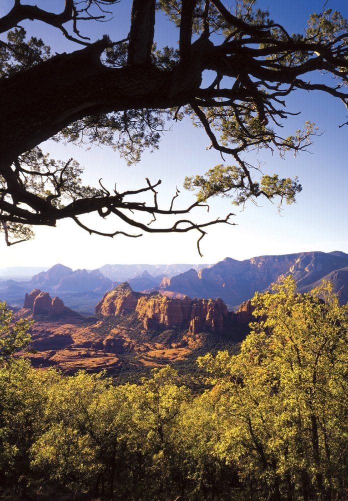 Schnebly Hill - SD0312 | Tom Johnson | Photography-Exposures International Gallery of Fine Art - Sedona AZ