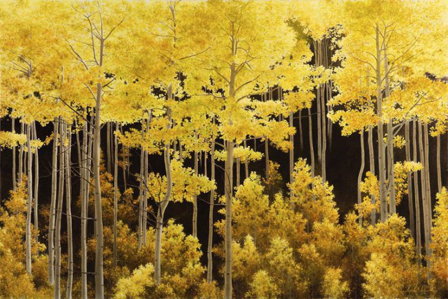 Aspen Light | Alexander Volkov | Painting-Exposures International Gallery of Fine Art - Sedona AZ