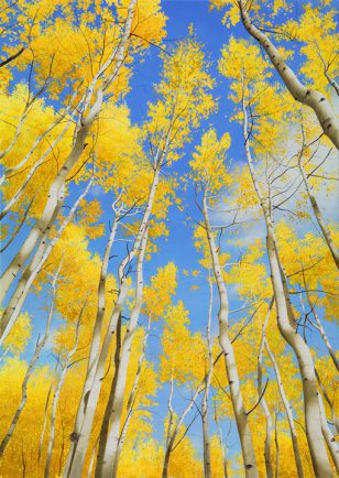 Ode To Joy | Alexander Volkov | Painting-Exposures International Gallery of Fine Art - Sedona AZ