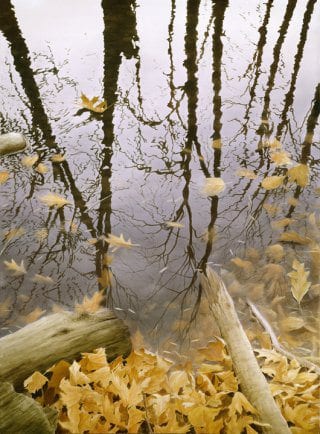 Reflections | Alexander Volkov | Painting-Exposures International Gallery of Fine Art - Sedona AZ