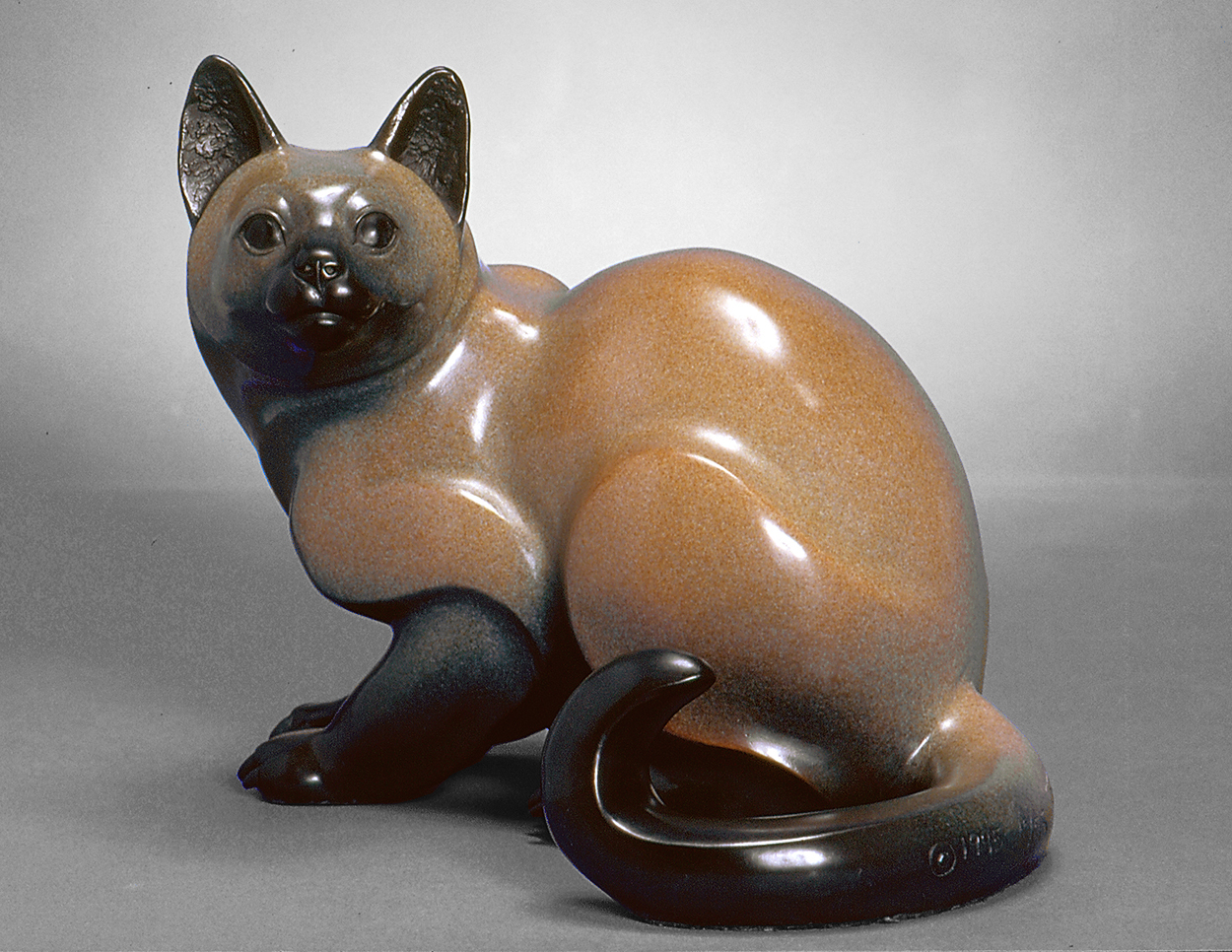 Jacques & Mary Regat Tangerine Exposures International