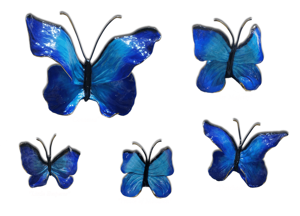 Ron & Sheila Ruiz Blue Skies Butterfly Exposures International