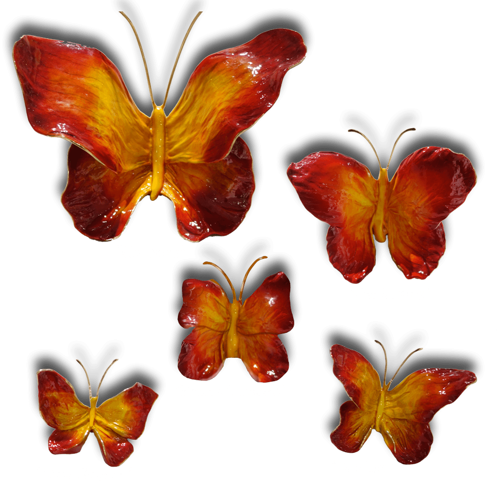 Ron & Sheila Ruiz Flame Butterfly Exposures International