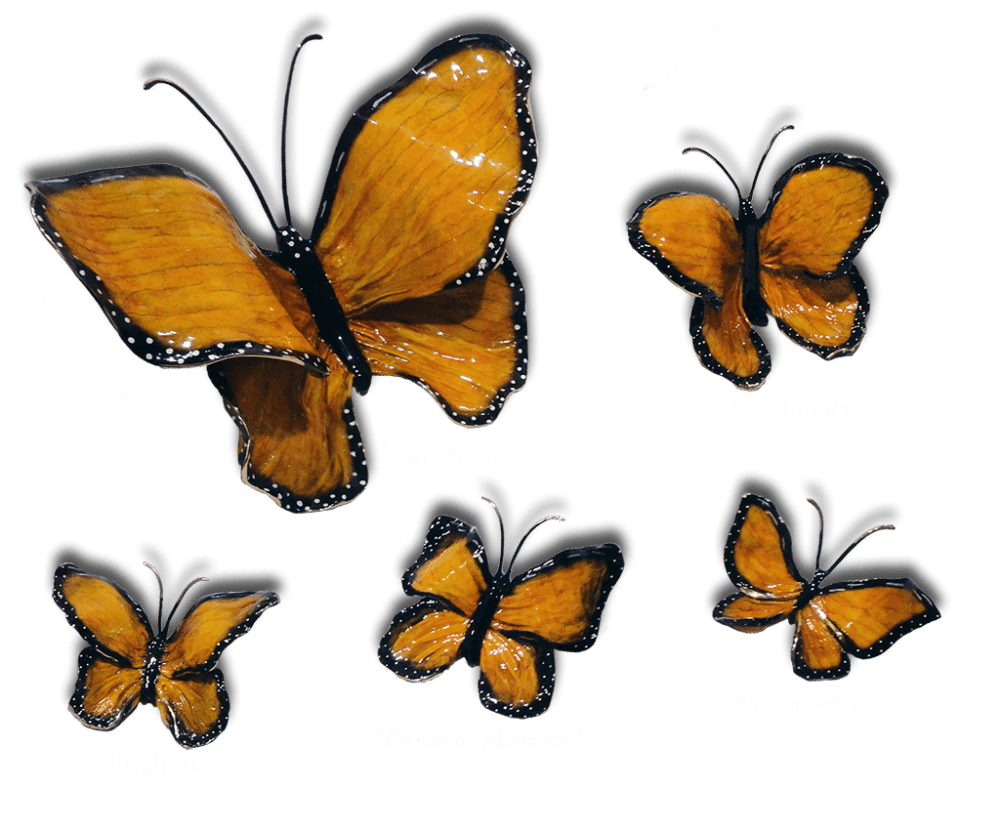 Ron & Sheila Ruiz Monarch Butterfly Exposures International