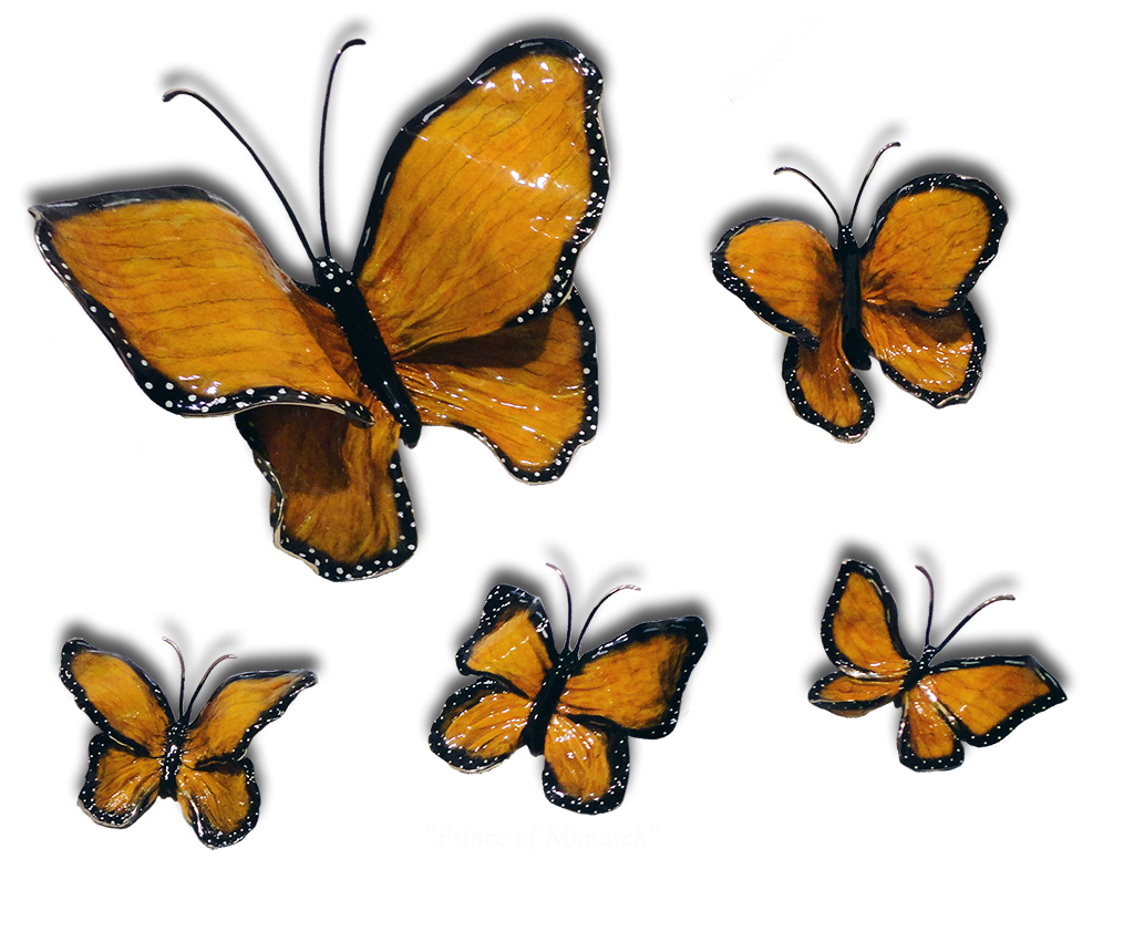 Ron & Sheila Ruiz Monarch Butterfly Exposures International