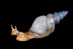 Infinite Journey | John Maisano | Sculpture-Exposures International Gallery of Fine Art - Sedona AZ