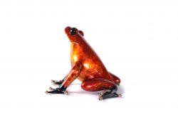 Ferguson | Frogman | Sculpture-Exposures International Gallery of Fine Art - Sedona AZ