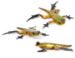 Froglet | Frogman | Sculpture-Exposures International Gallery of Fine Art - Sedona AZ