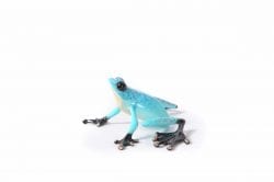 Monet | Frogman | Sculpture-Exposures International Gallery of Fine Art - Sedona AZ