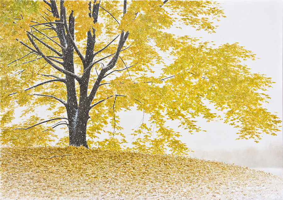 Early Autumn Snowfall” – Exposures International Gallery of Fine Art