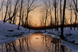 Winter's Creek | Alexander Volkov | Painting-Exposures International Gallery of Fine Art - Sedona AZ