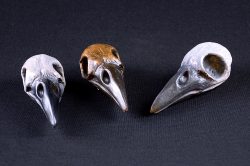 Raven Skull | Diana Simpson | Sculpture-Exposures International Gallery of Fine Art - Sedona AZ