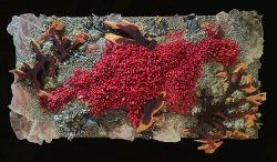 What Lies Beneath | Tesa Michaels | Wall Art-Exposures International Gallery of Fine Art - Sedona AZ