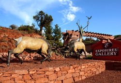 Royal Battle | Lorenzo & Laran Ghiglieri | Sculpture-Exposures International Gallery of Fine Art - Sedona AZ