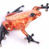 Blitzen | Frogman | Sculpture-Exposures International Gallery of Fine Art - Sedona AZ