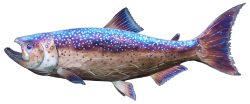 King Salmon | Gary Caldwell | Wall Art-Exposures International Gallery of Fine Art - Sedona AZ