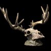Mule Deer Skull | Diana Simpson | Sculpture-Exposures International Gallery of Fine Art - Sedona AZ