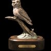 Whoo's There | Diana Simpson | Sculpture-Exposures International Gallery of Fine Art - Sedona AZ