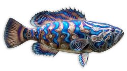 Grouper | Gary Caldwell | Wall Art-Exposures International Gallery of Fine Art - Sedona AZ