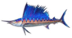 Sailfish | Gary Caldwell | Wall Art-Exposures International Gallery of Fine Art - Sedona AZ