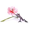 Pink Chiffon | Frogman | Sculptures-Exposures International Gallery of Fine Art - Sedona AZ