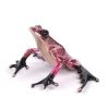 Passion | Frogman | Sculptures-Exposures International Gallery of Fine Art - Sedona AZ