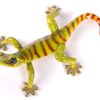 Dino | Frogman | Sculptures-Exposures International Gallery of Fine Art - Sedona AZ